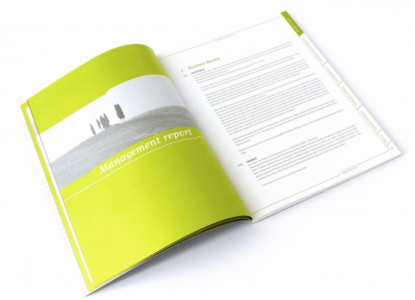 Dexia CrÃ©dit Local